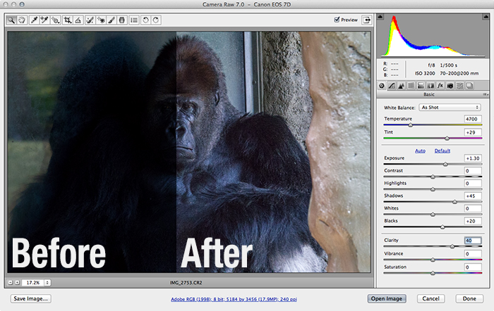 Adobe photoshop cs6 updates download